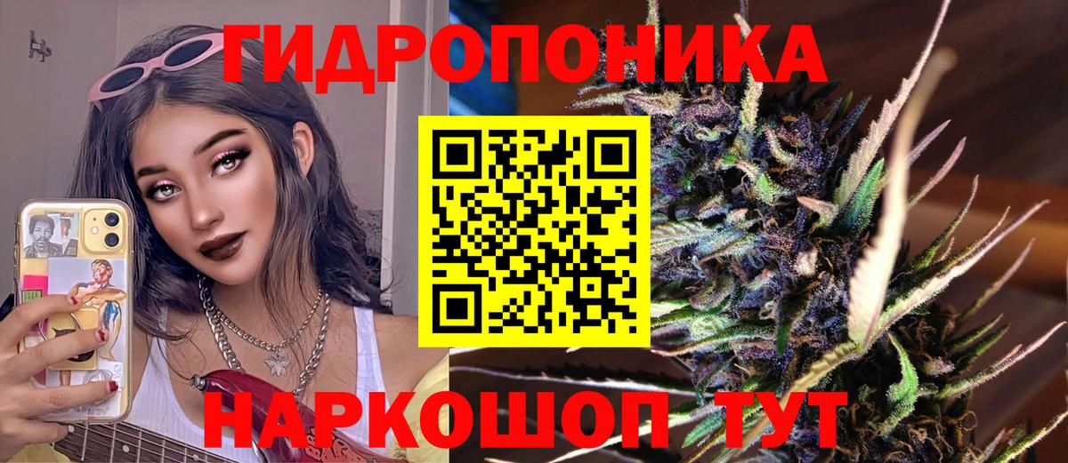 Бошки Шишки Bruce Banner Ставрополь
